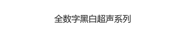 黑白超聲診斷系統(tǒng)