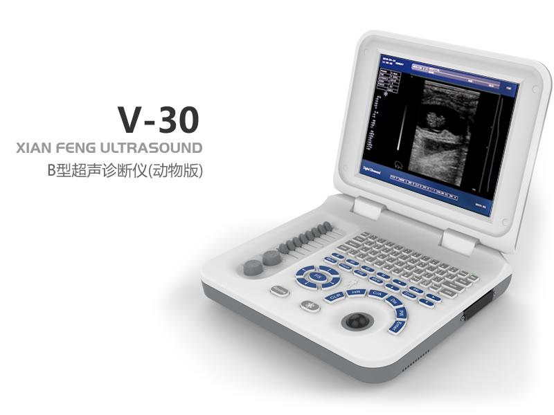 全數字筆記本式動物超聲診斷儀